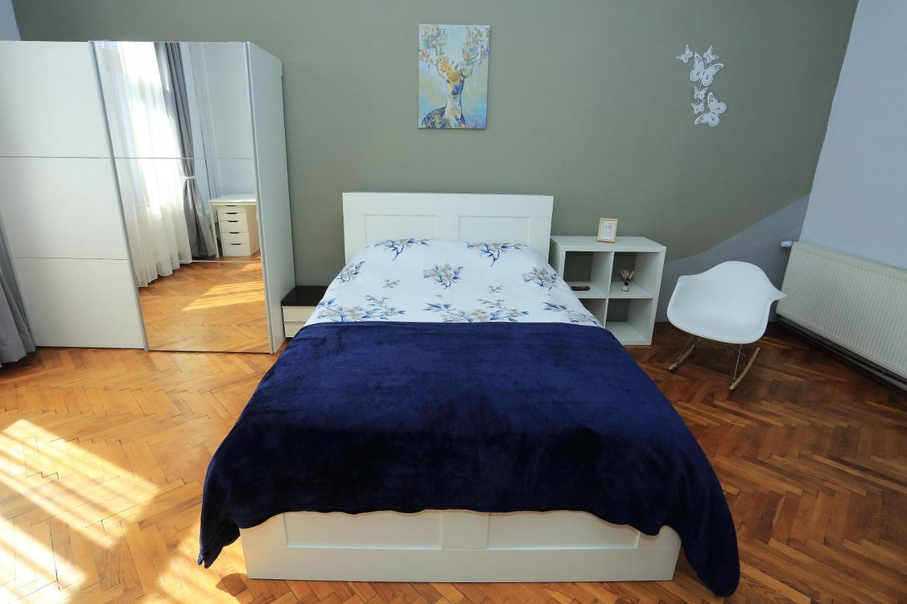 Napoca Central Apartment 克卢日-纳波卡 外观 照片