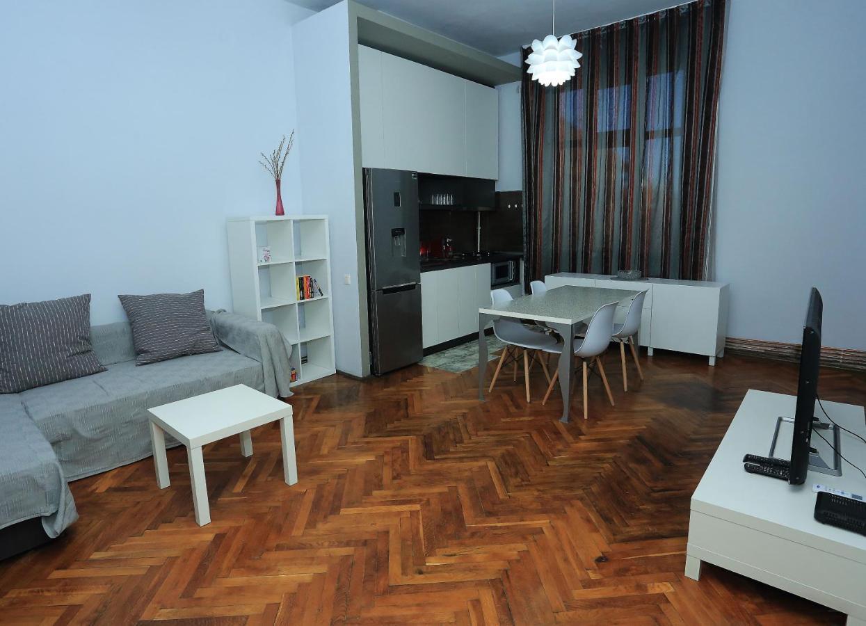 Napoca Central Apartment 克卢日-纳波卡 外观 照片