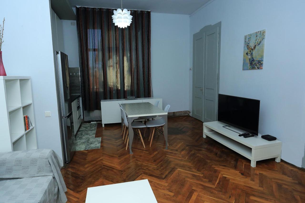 Napoca Central Apartment 克卢日-纳波卡 外观 照片