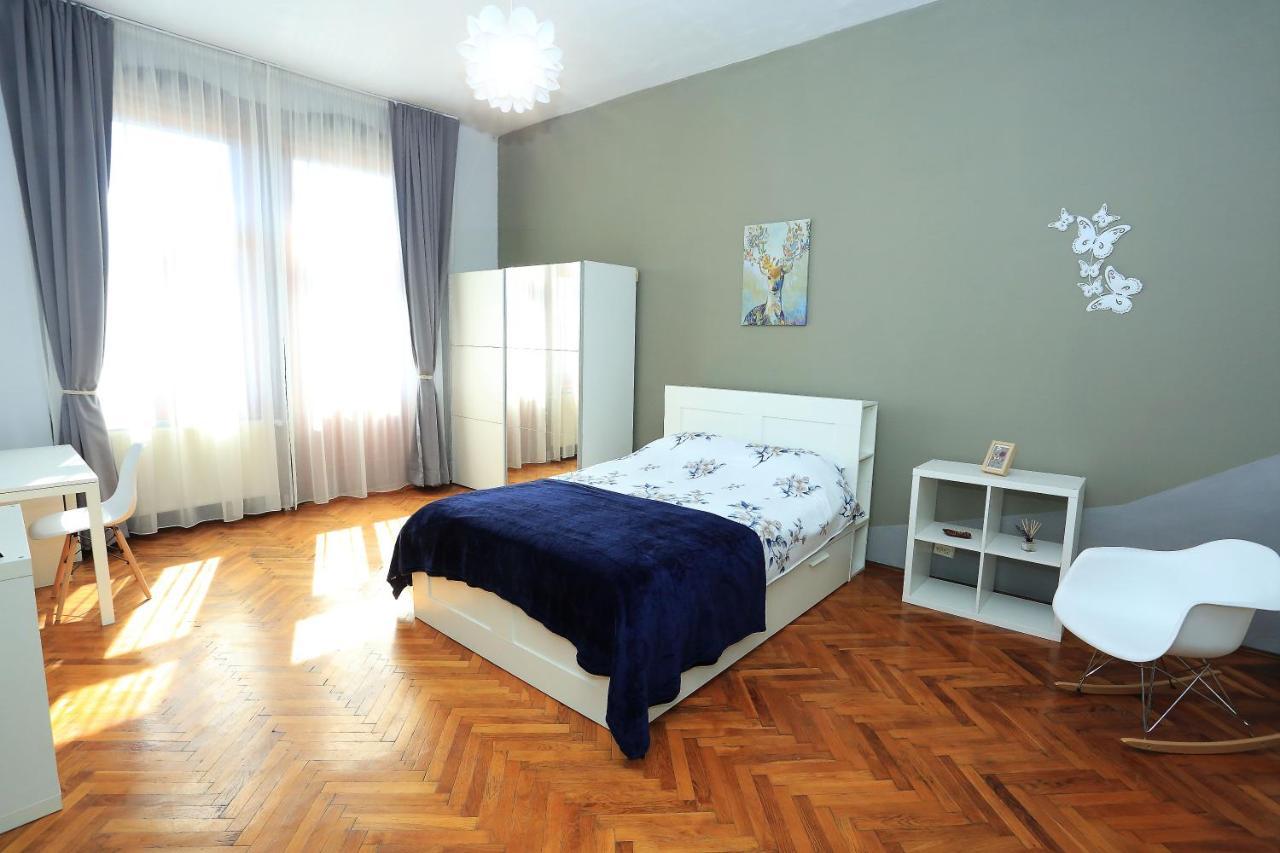 Napoca Central Apartment 克卢日-纳波卡 外观 照片