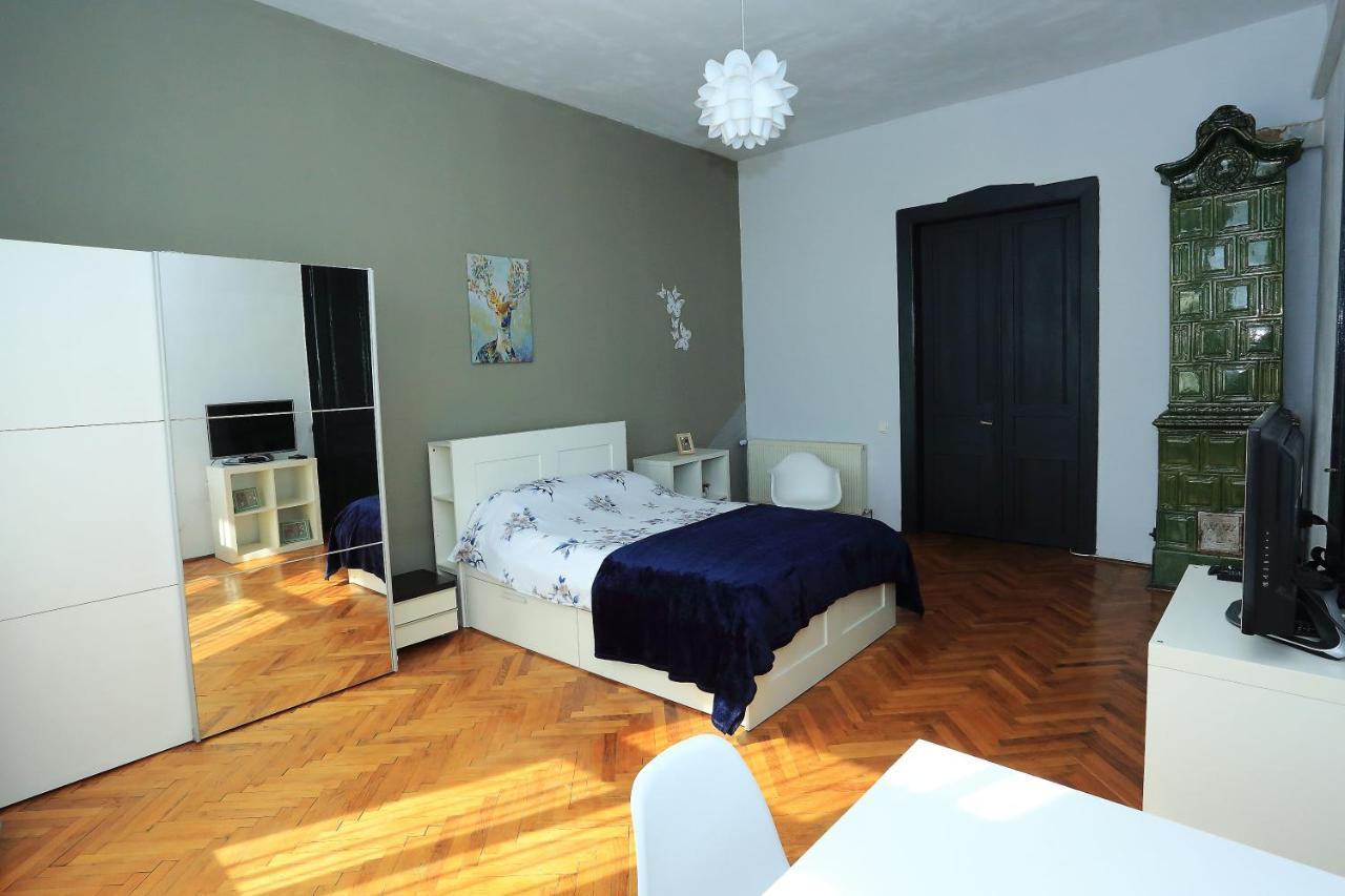 Napoca Central Apartment 克卢日-纳波卡 外观 照片