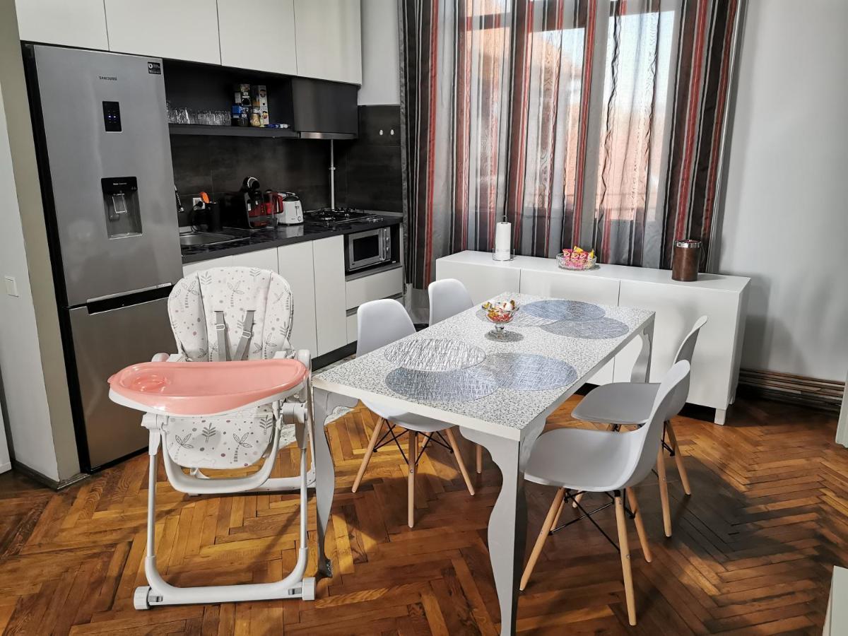 Napoca Central Apartment 克卢日-纳波卡 外观 照片