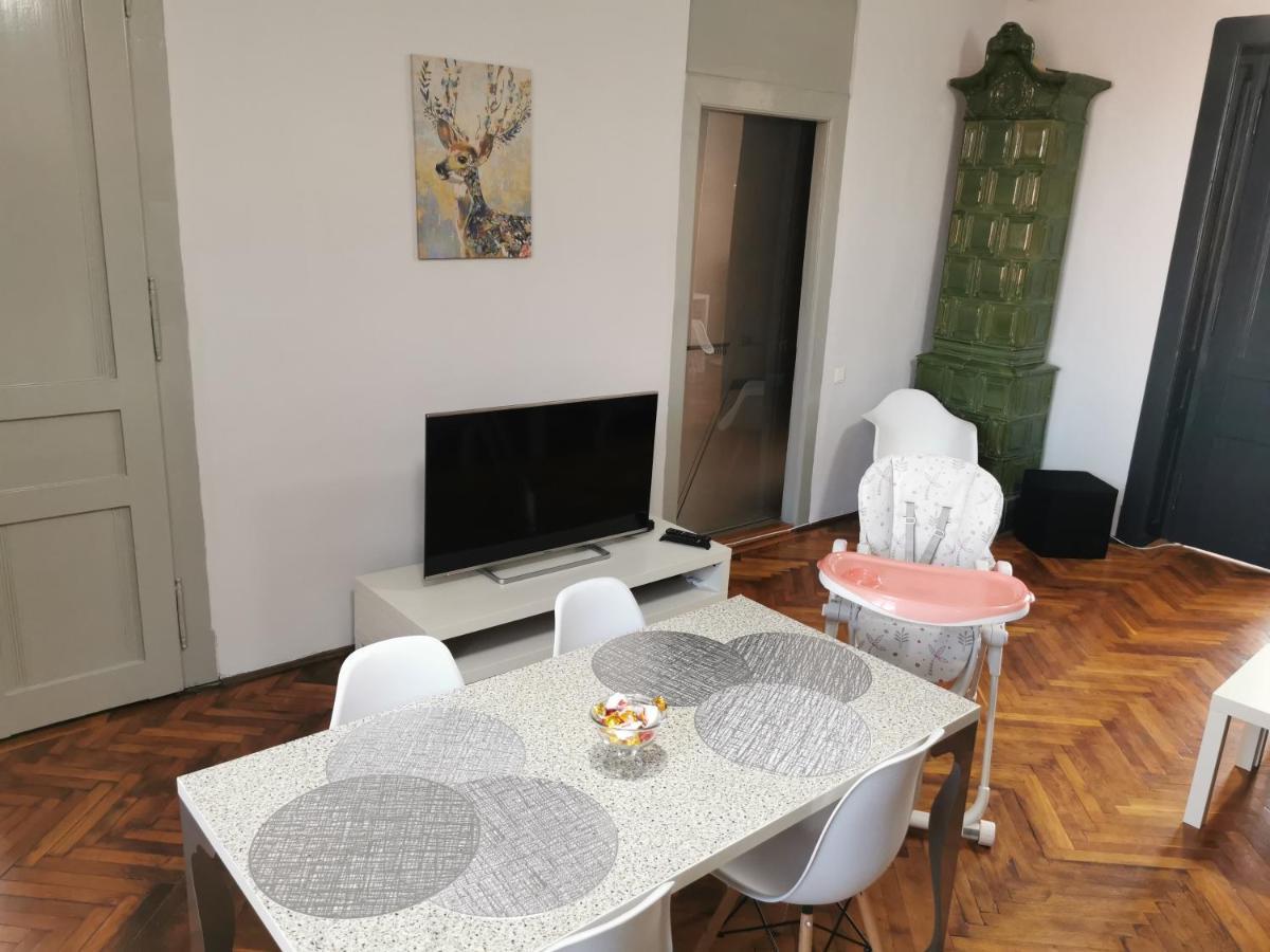 Napoca Central Apartment 克卢日-纳波卡 外观 照片
