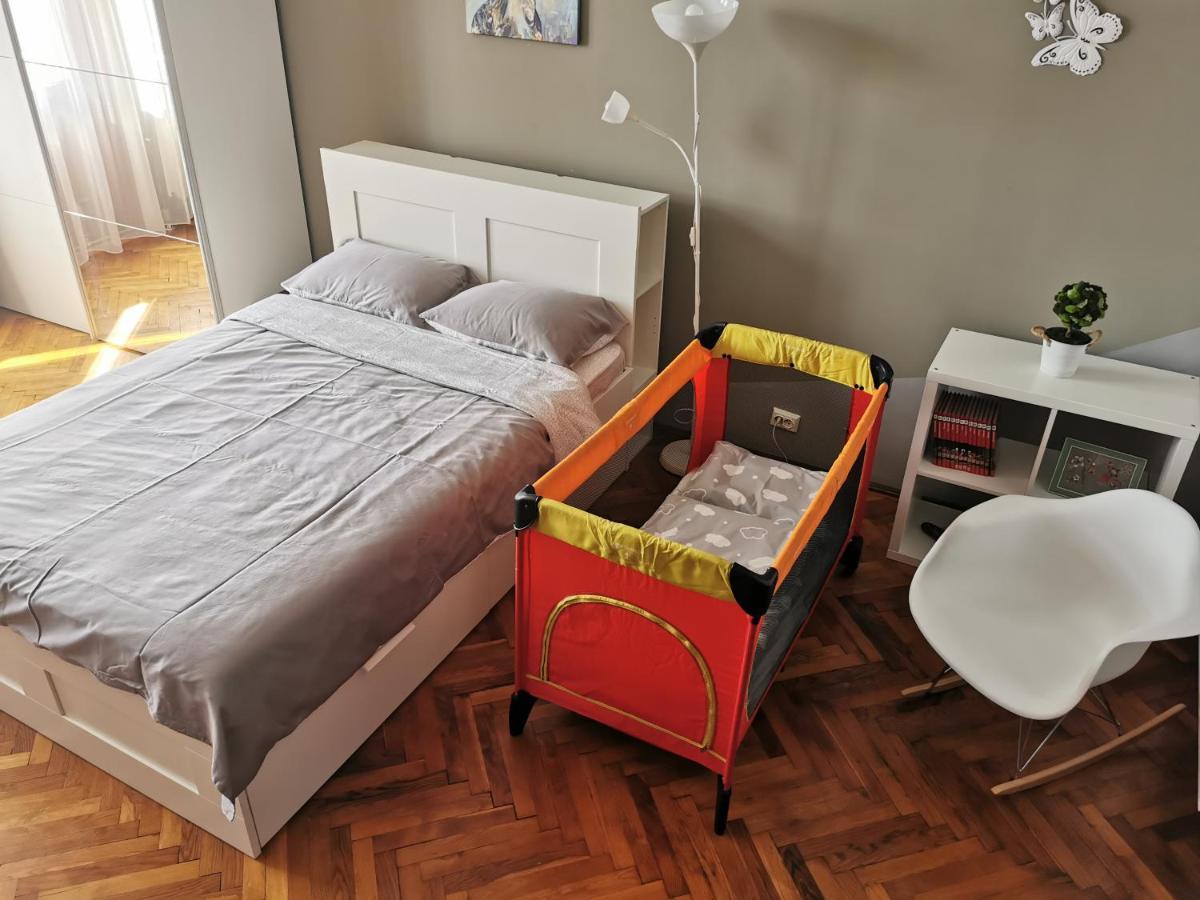 Napoca Central Apartment 克卢日-纳波卡 外观 照片